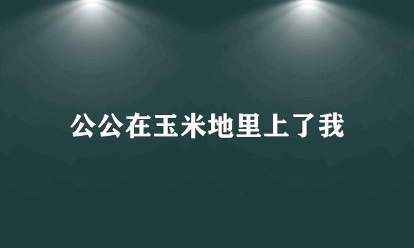 公公在玉米地里上了我