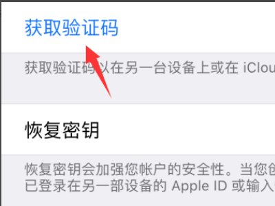 需要提供 Apple ID 验证码才能登录。请键入您的密码，并随后键入显示在您其他设备上的验证码。