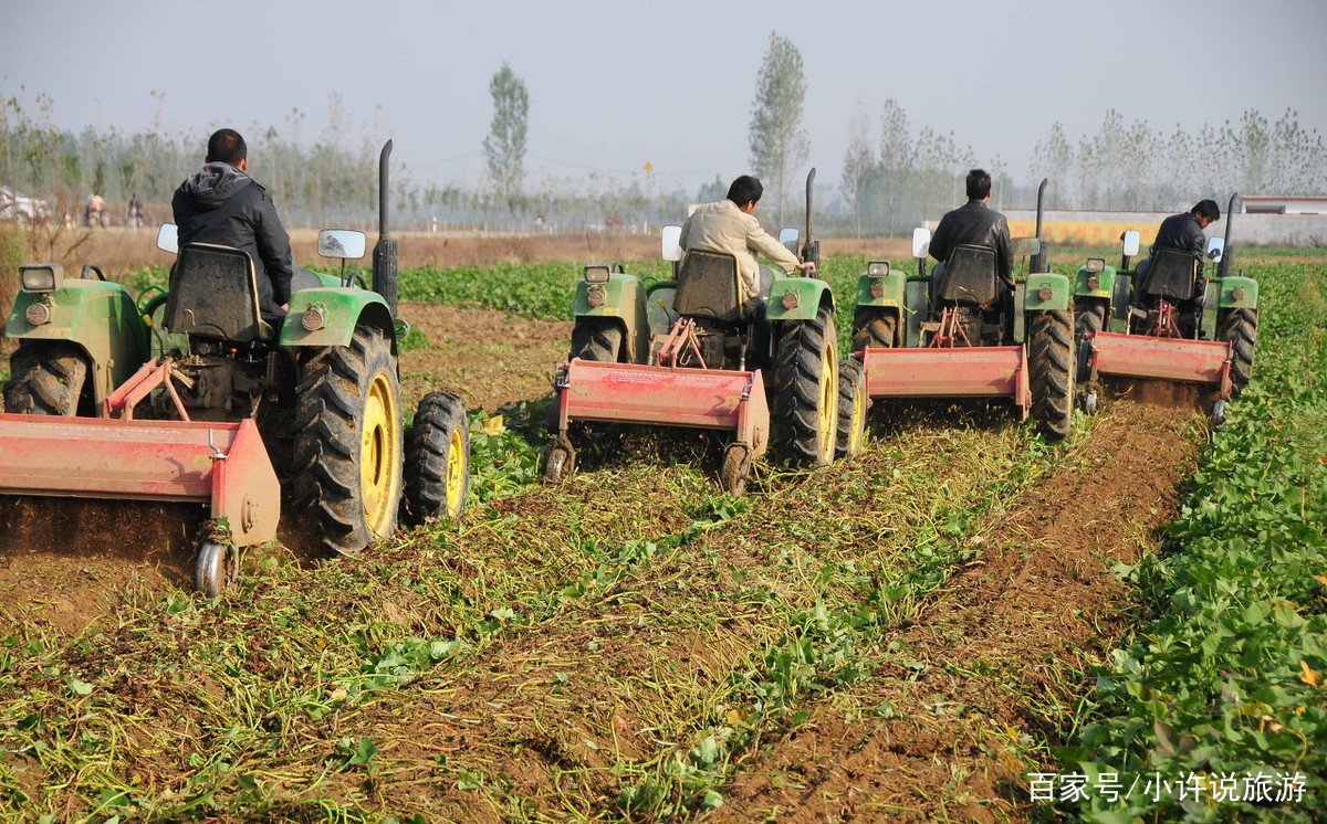 红薯的种植时间和方法分别是什么呢?
