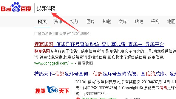 怎么查鸽子的成绩