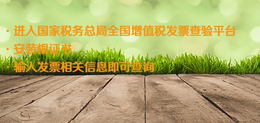 上网查发票的真伪怎么查