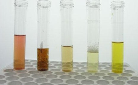 尿潜血2十是什么意思