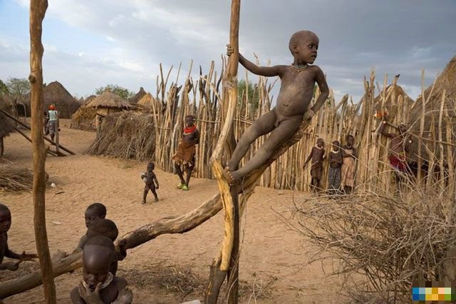 非洲部落的部落结构