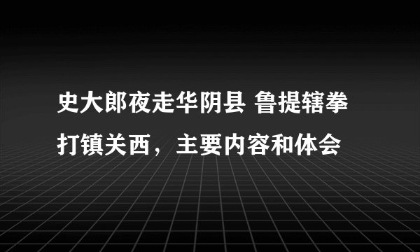 史大郎夜走华阴县 鲁提辖拳打镇关西，主要内容和体会