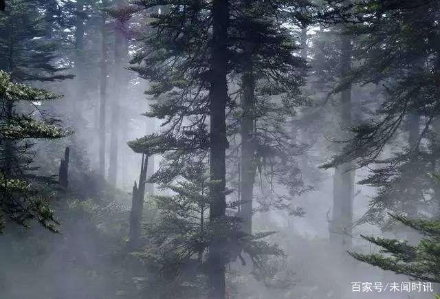 被称为“黄泉路”的四川迷魂凼，常年有部队看守，其中是何缘故？