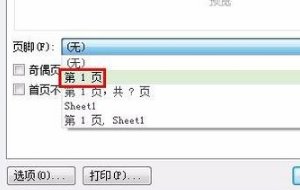 如何在WPS表格中插入页码