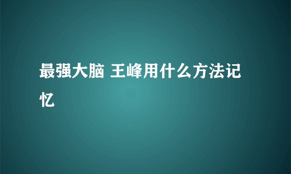 最强大脑 王峰用什么方法记忆