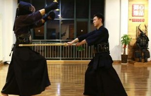 如何查看十大剑道小说排行榜？