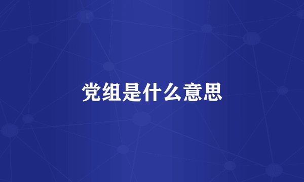 党组是什么意思