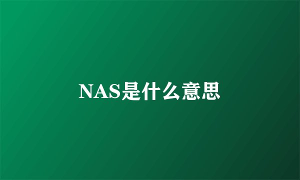 NAS是什么意思