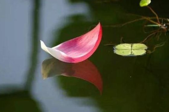 四字人生禅语有哪些？