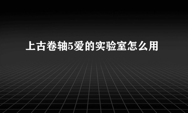 上古卷轴5爱的实验室怎么用
