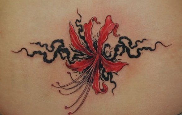 纹彼岸花有什么禁忌吗