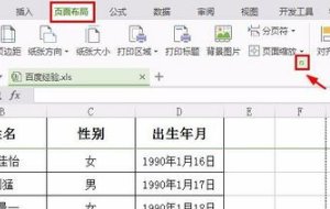 如何在WPS表格中插入页码