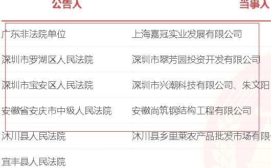 人民法院报公告查询