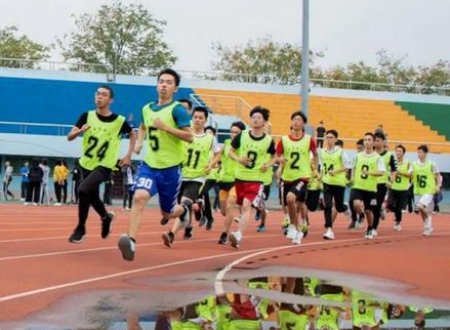 运动会参与情况描述怎么写？