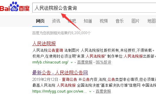 人民法院报公告查询