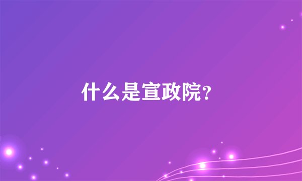 什么是宣政院？