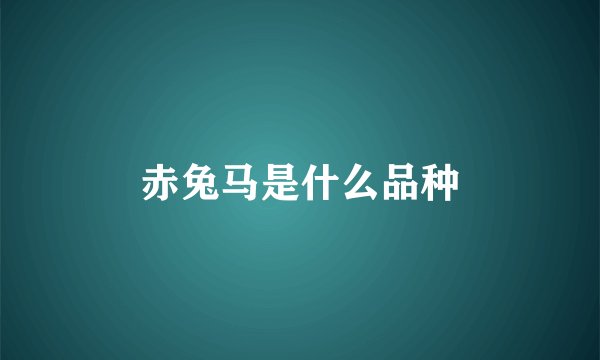 赤兔马是什么品种