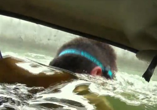 为什么汽车被水淹了车门会打不开?