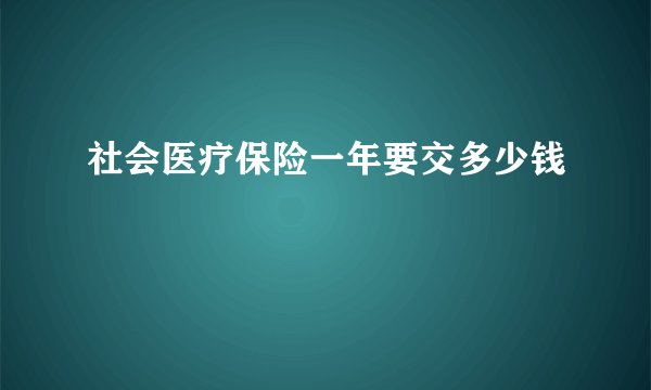 社会医疗保险一年要交多少钱