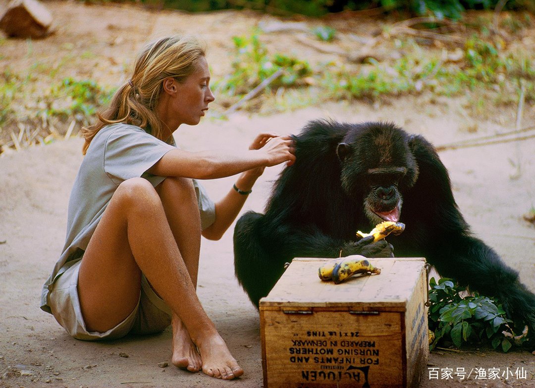 生殖隔离是什么意思？没有生殖隔离，所有生物会怎么样？