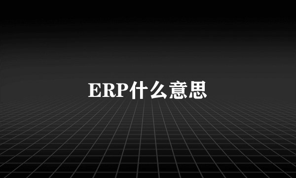 ERP什么意思