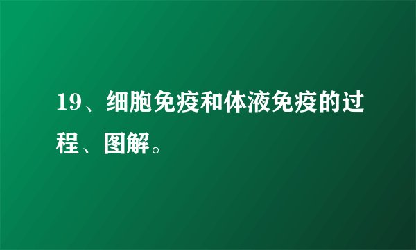 19、细胞免疫和体液免疫的过程、图解。