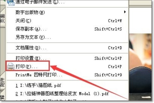 pdf怎样调节打印的页面大小