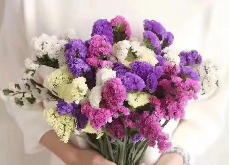 七夕节送什么花