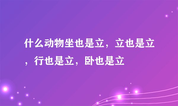 什么动物坐也是立，立也是立，行也是立，卧也是立