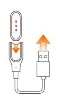 智能手环怎么充电