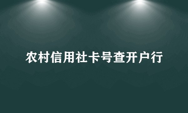 农村信用社卡号查开户行