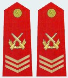 二级军士长是什么级别