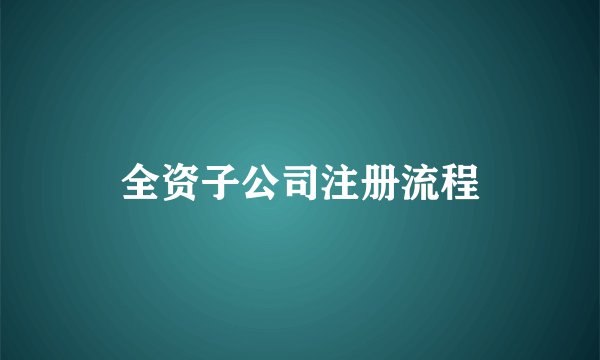 全资子公司注册流程