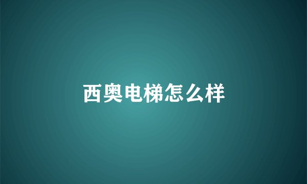 西奥电梯怎么样