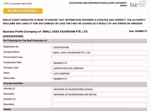 怎么能查询新加坡公司的合法性？