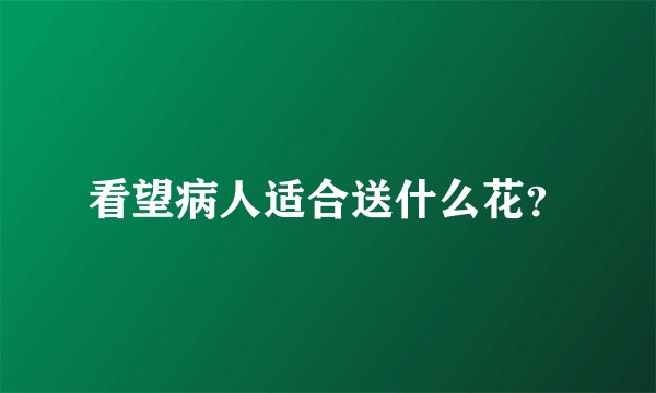 看望病人适合送什么花？