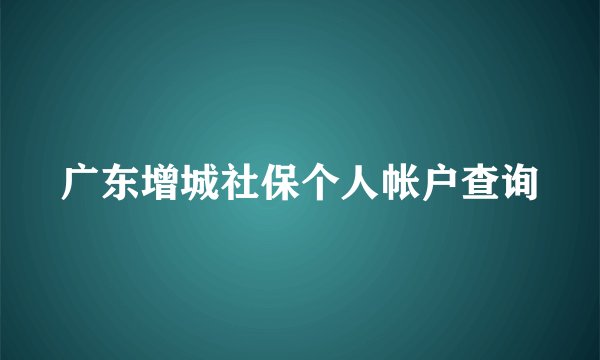 广东增城社保个人帐户查询