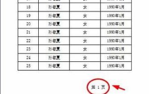 如何在WPS表格中插入页码