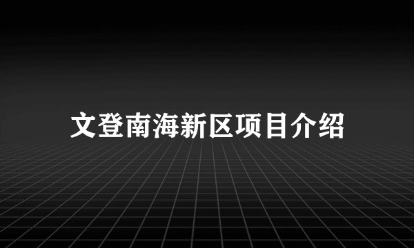文登南海新区项目介绍