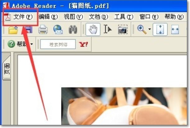 pdf怎样调节打印的页面大小