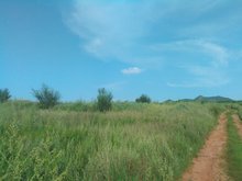 照片打印出来特别黑怎么办？