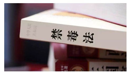 国家对麻醉药品药用原植物实行管制，禁止非法种植什么植物？