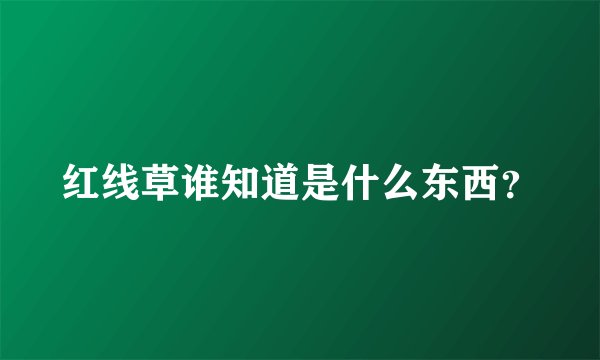 红线草谁知道是什么东西？