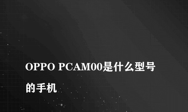 
OPPO PCAM00是什么型号的手机


