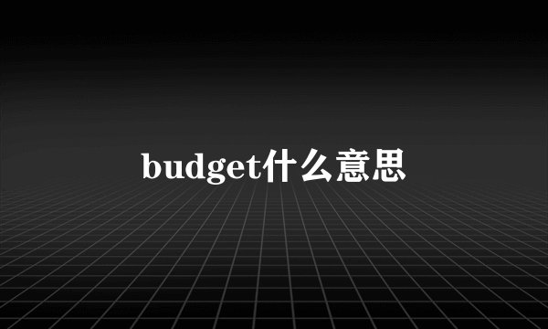 budget什么意思