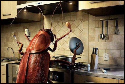 消灭蟑螂的小妙招有哪些？