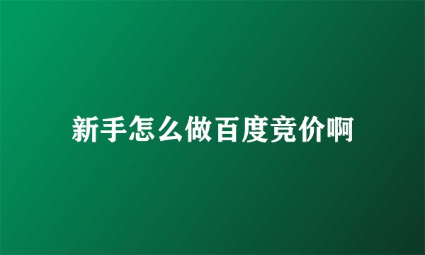 新手怎么做百度竞价啊