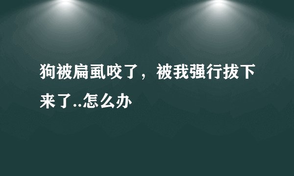 狗被扁虱咬了，被我强行拔下来了..怎么办